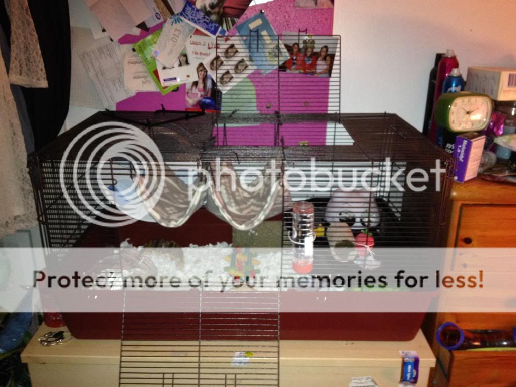 The Zooplus Alaska cage review. Hamster Central